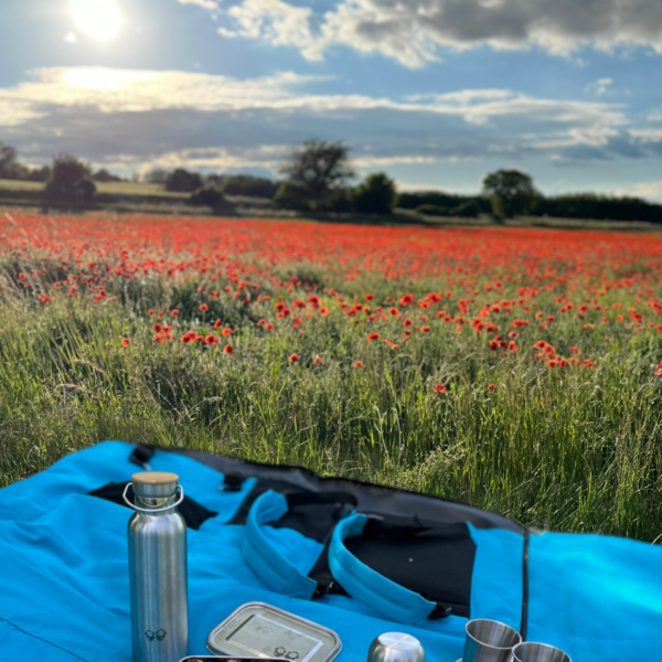 Hiking and Pic-Nic